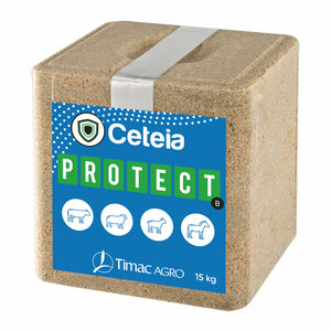 Ceteia Protect Mineral Block 15Kg