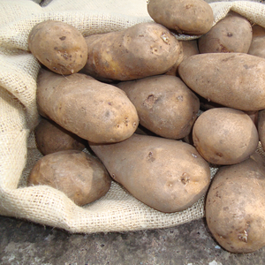 Golden Wonder Maincrop Potatoes 5kg