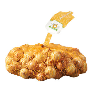 Stuttgarter Riesen Onion Sets 14/21 500g