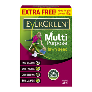 Evergreen Multi-purpose Grass Seed 420g