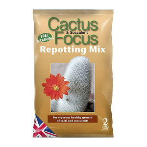 Cactus Focus Repot Mix 2L