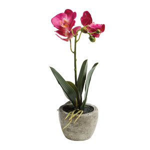Artificial Potted Orchid 26cm