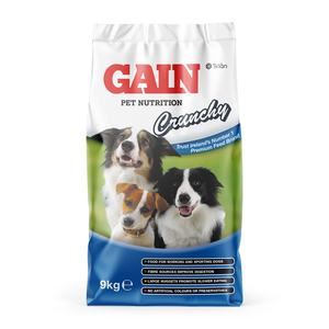 GAIN Crunchy Dog Food
